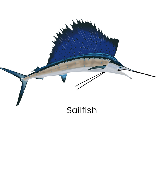 The Custom Captain Product