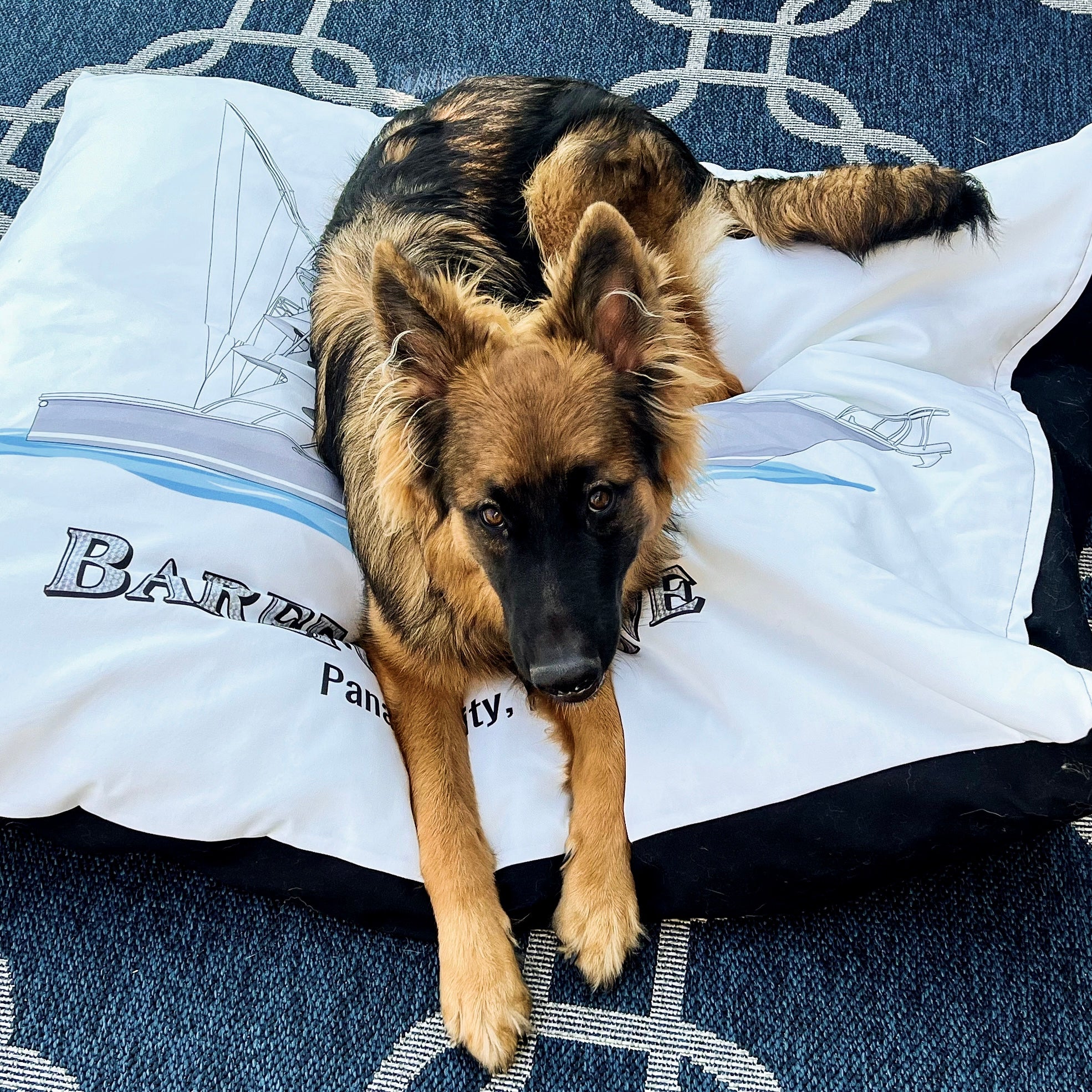 Custom Indoor/Outdoor Dog Bed